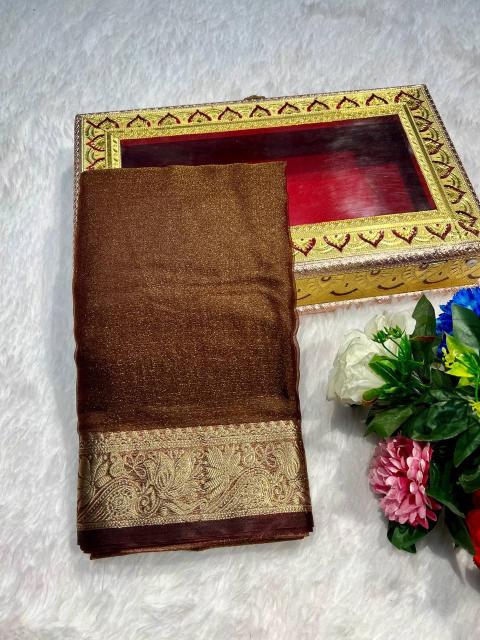 Vastrangan tissue orgenza saree wholesale market photos